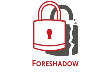 How to protect a Windows computer from Intel Foreshadow Flaws?